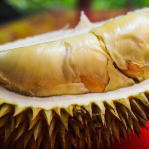 Exploring Durian and its Infamous Odor