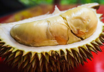 Exploring Durian and its Infamous Odor