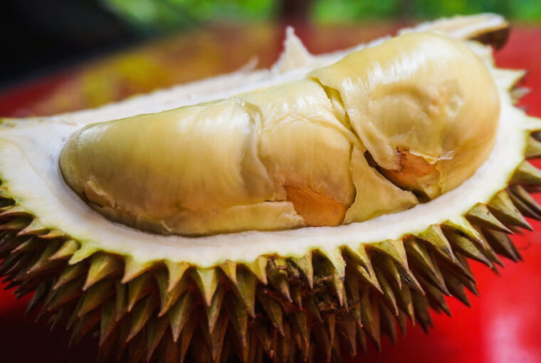 Exploring Durian and its Infamous Odor