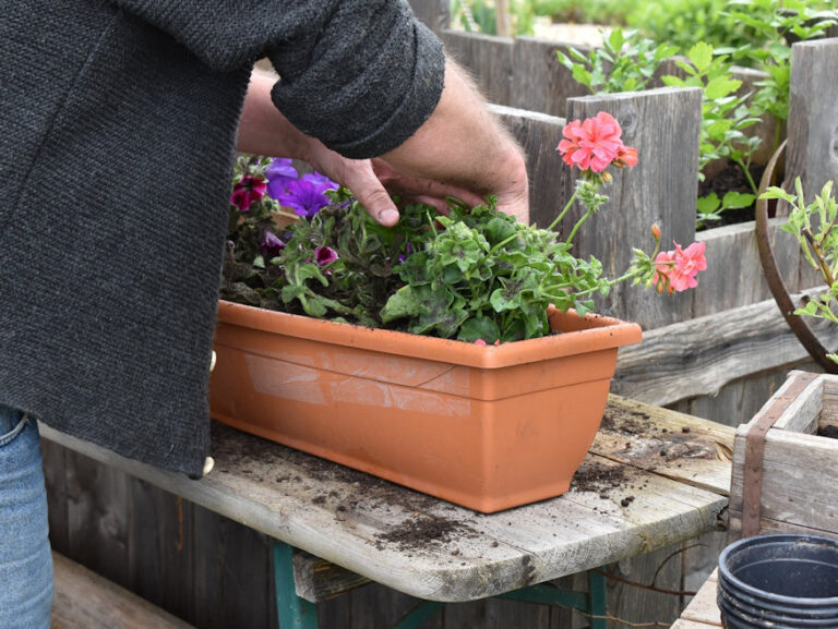 Sustainable Gardening How to Reuse Used Potting Mix in Your Garden