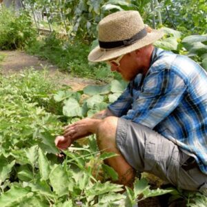 Avoid These 13 Common Mistakes in Your Vegetable Garden