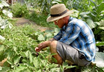 Avoid These 13 Common Mistakes in Your Vegetable Garden