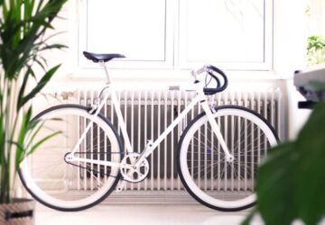 Winter Care Tips for Indoor Plants