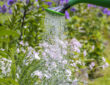 Growing a Lush Garden: Best Practices for Watering