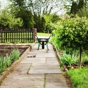 Your Essential Garden To-Do List for March