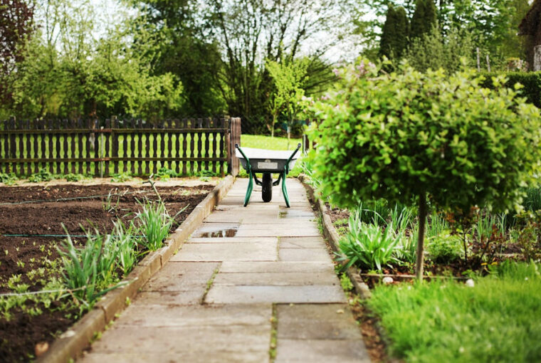 Your Essential Garden To-Do List for March