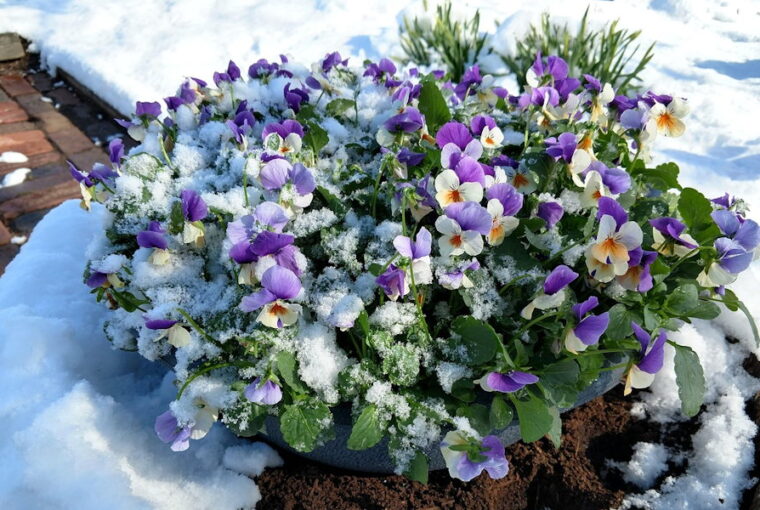 Why Does Snow Melt Faster...