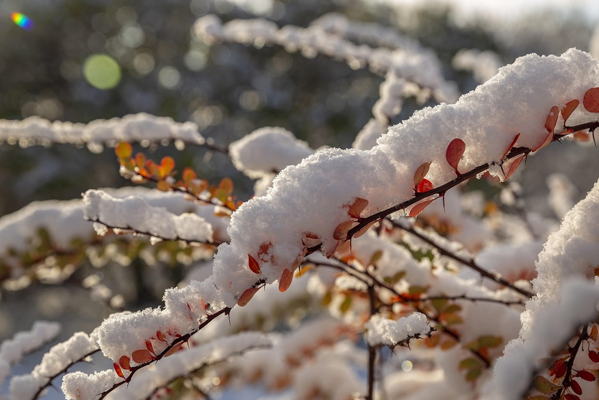 Why Does Snow Melt Faster...