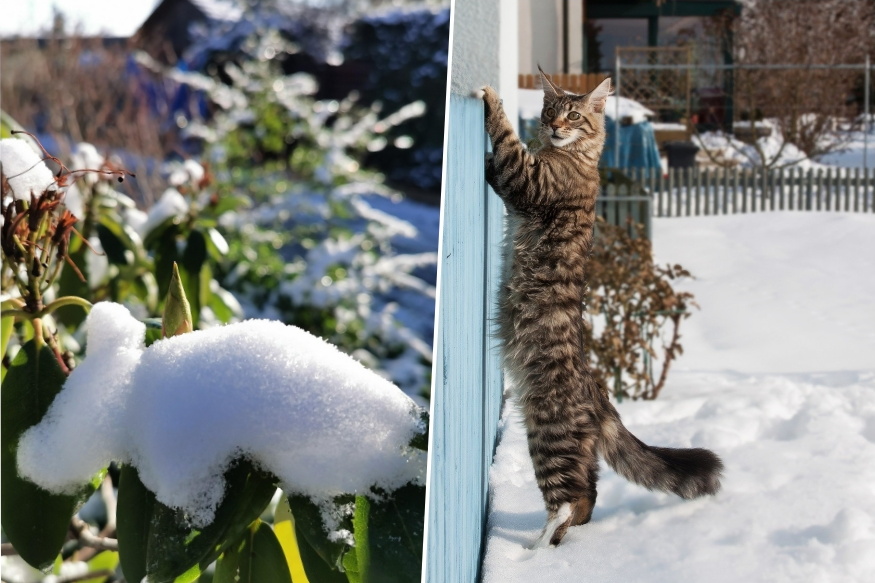 Why Does Snow Melt Faster...