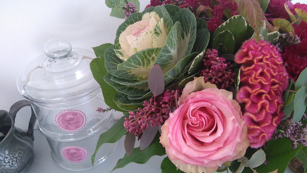 Discover the Winter Charm of Ornamental Cabbages