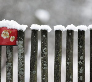 What Did Gardeners Do in Winter in the Past?