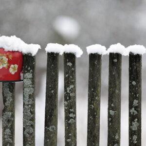 What Did Gardeners Do in Winter in the Past?