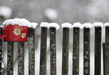 What Did Gardeners Do in Winter in the Past?