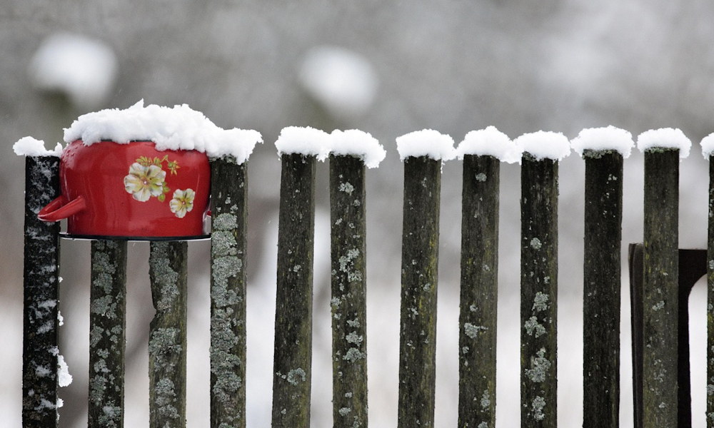 What Did Gardeners Do in Winter in the Past?