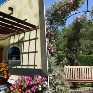 Wooden vs. Metal Pergolas