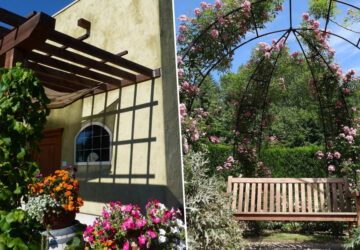 Wooden vs. Metal Pergolas