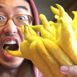 Deciphering the Citrus Enigma of Buddha's Hand